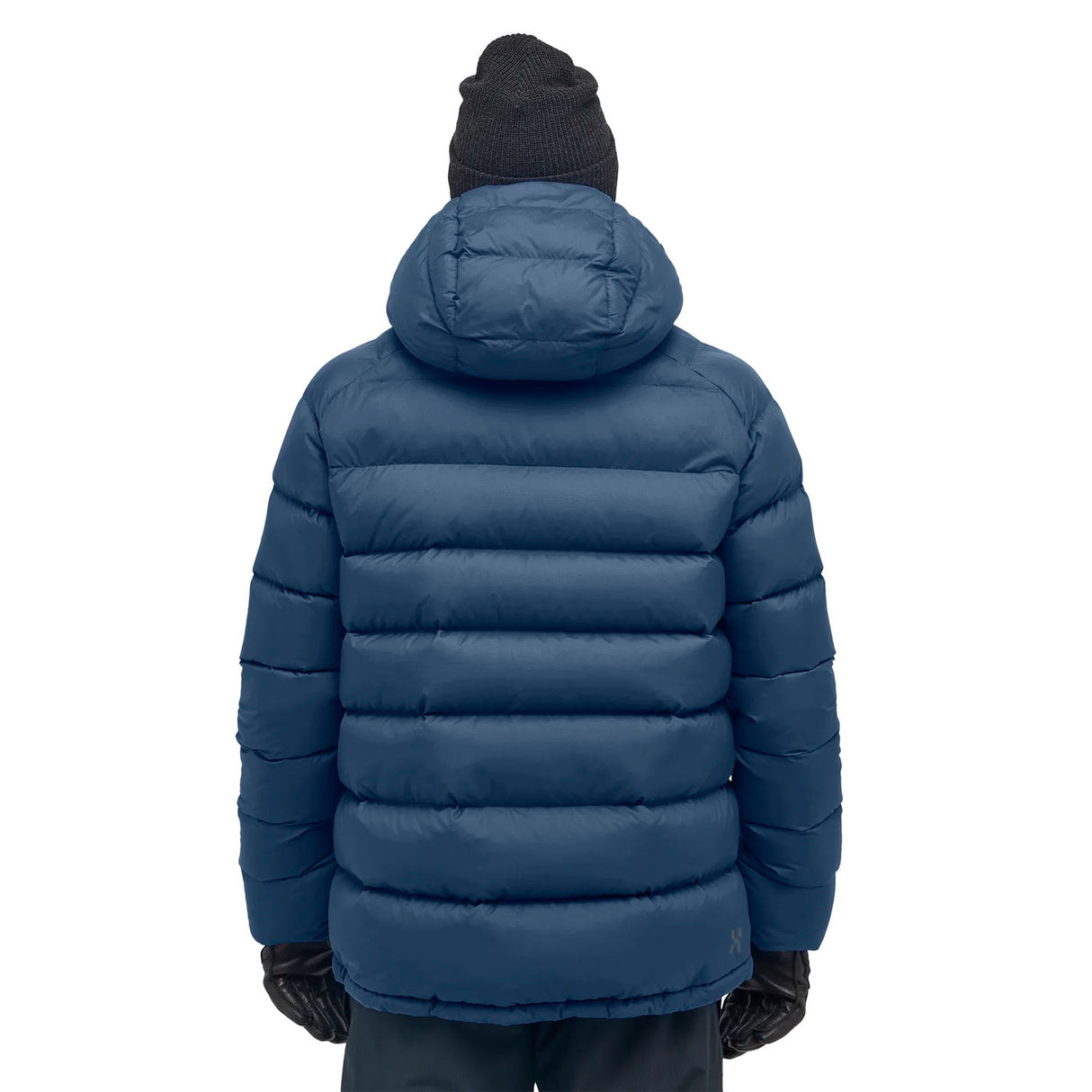 haglöfs untuvatakki tummansininen selkä